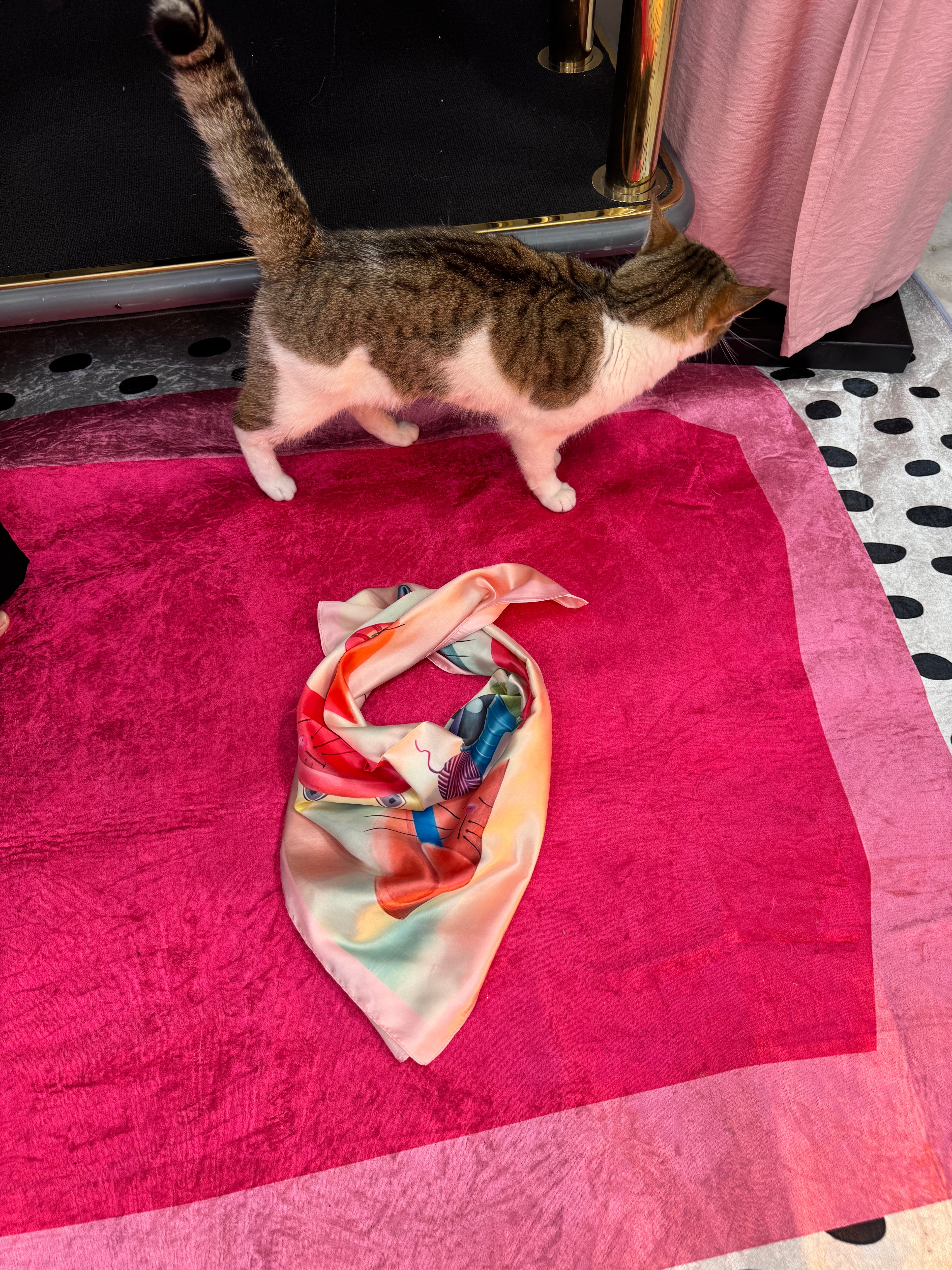 Foulard Chat Pelote Rose