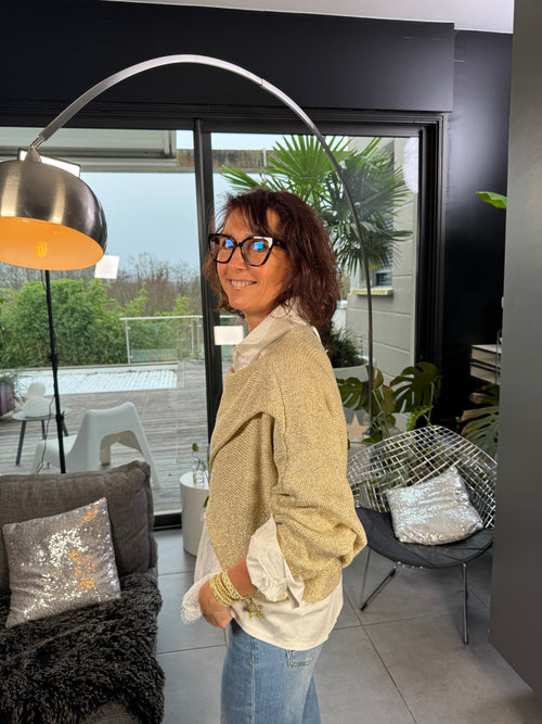 Pull Lamé Dany
