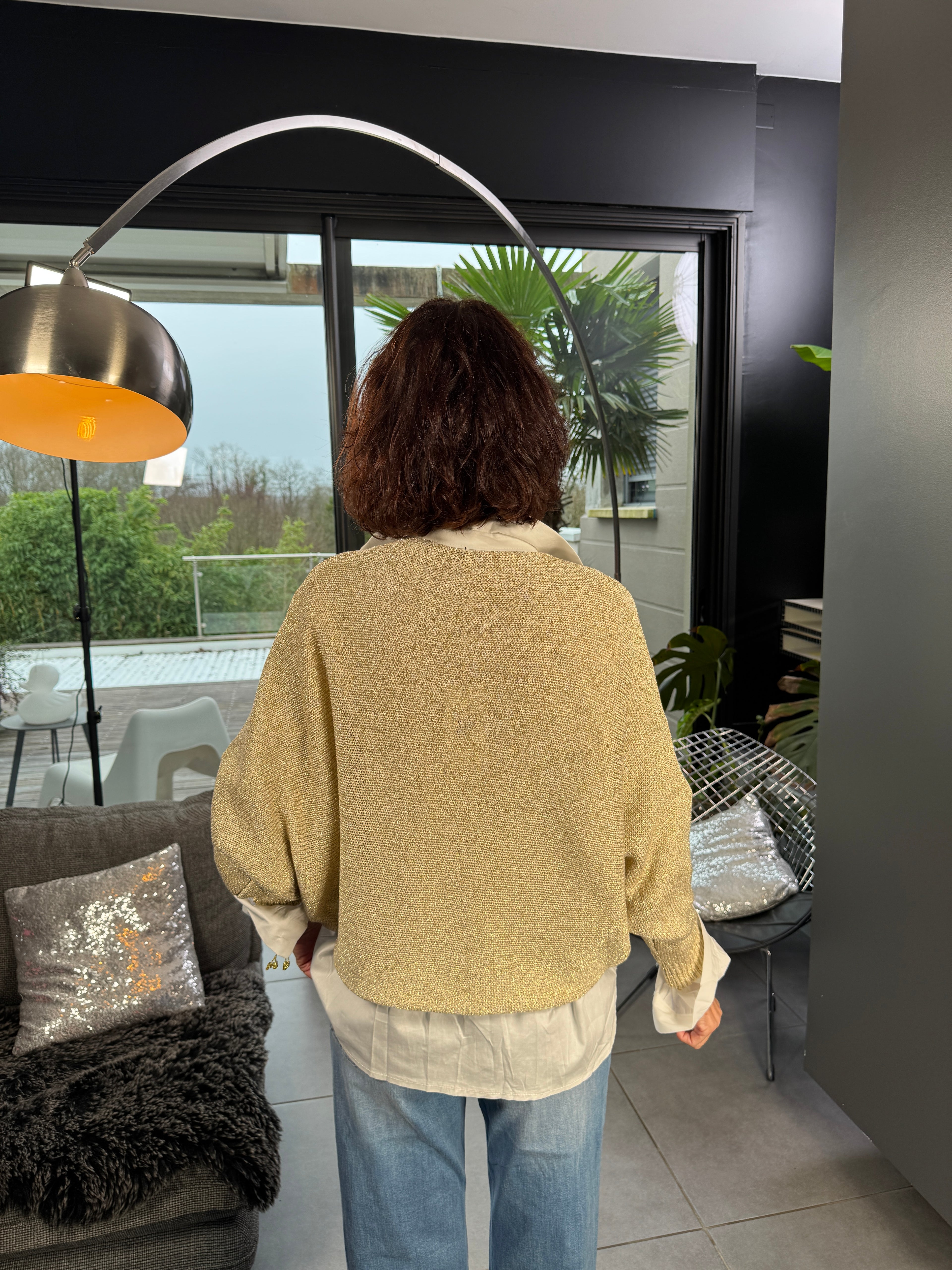 Pull Lamé Dany
