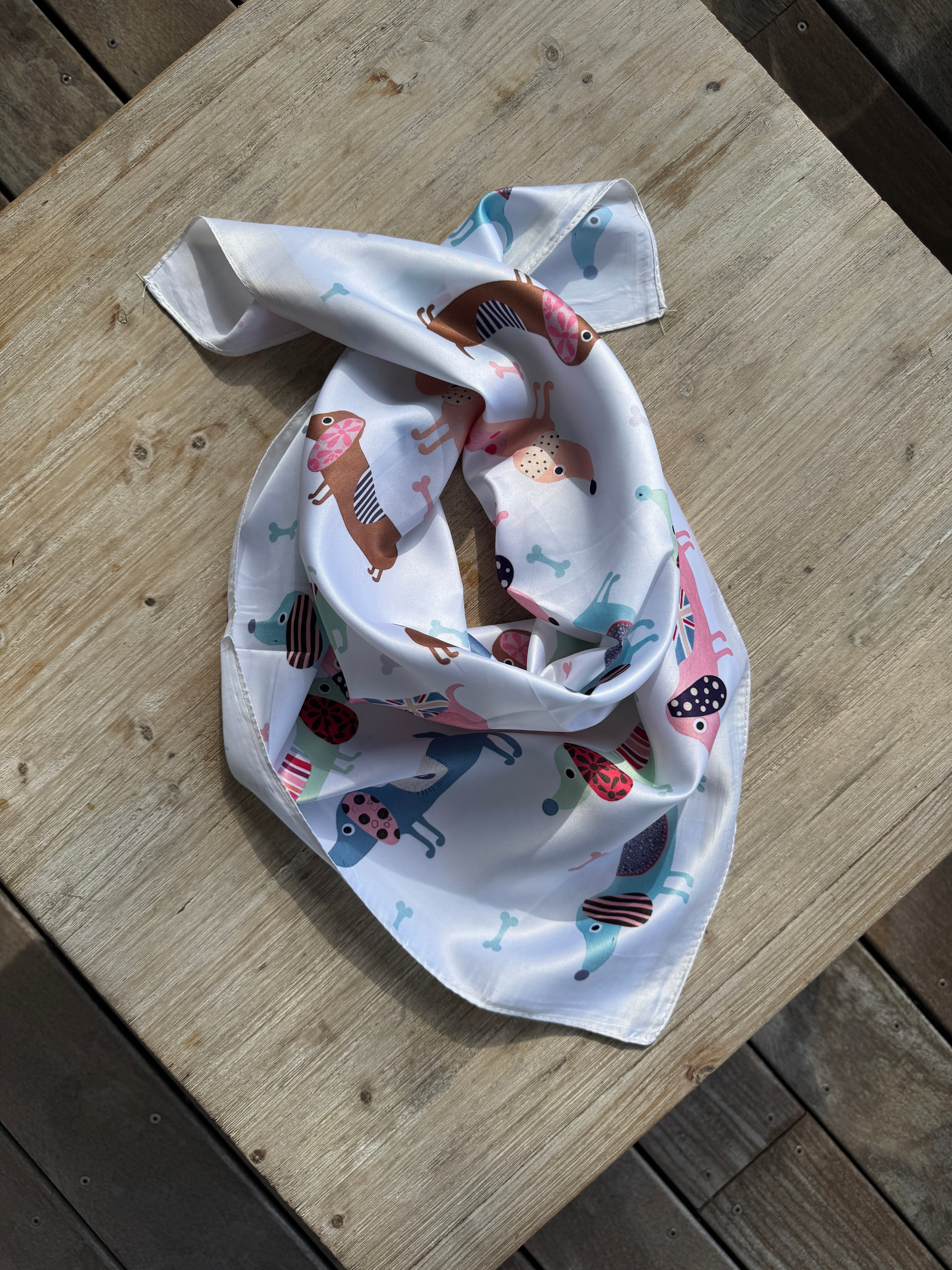 Foulard Teckel Joli