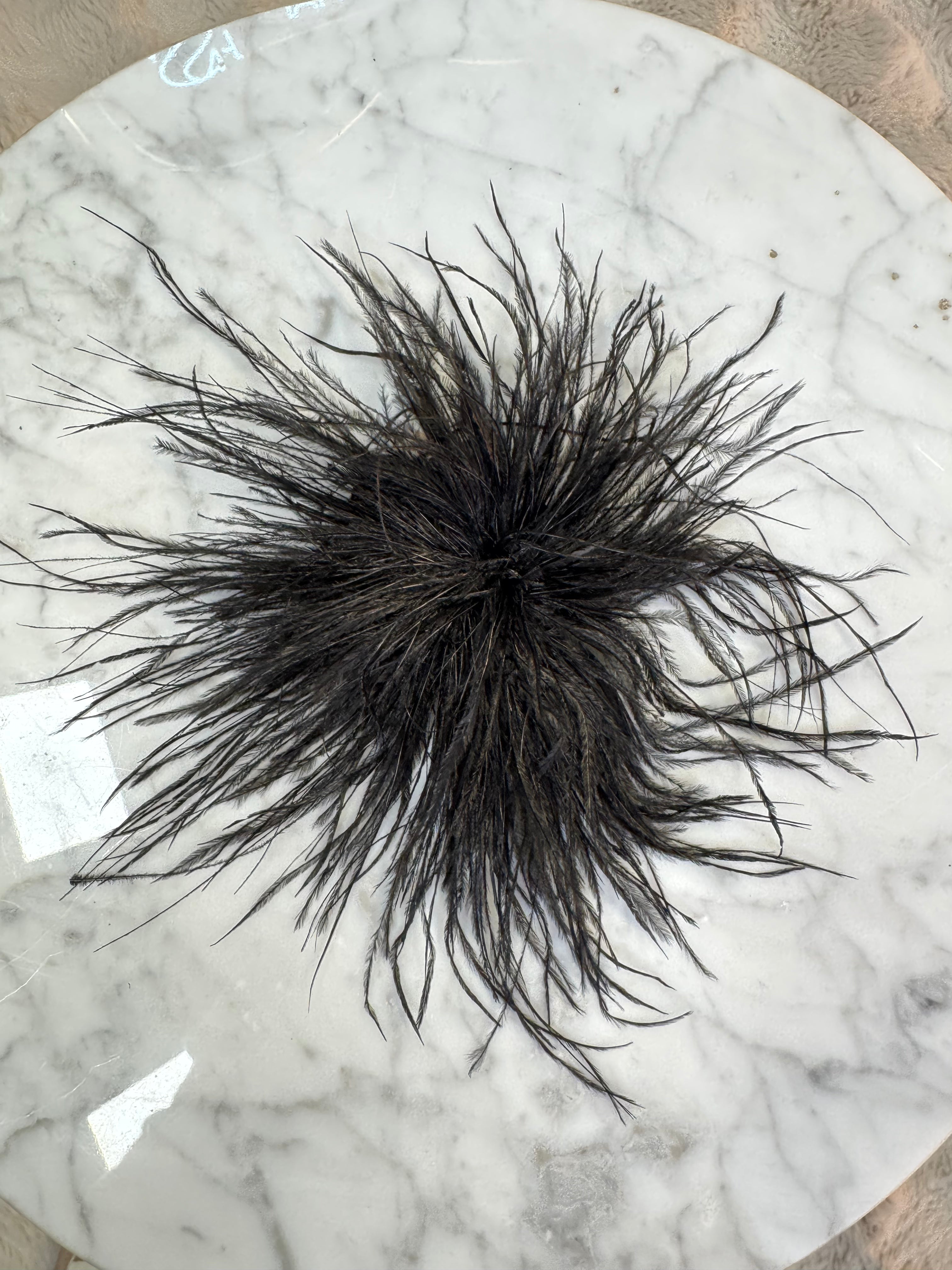 Broche Plumes Noire