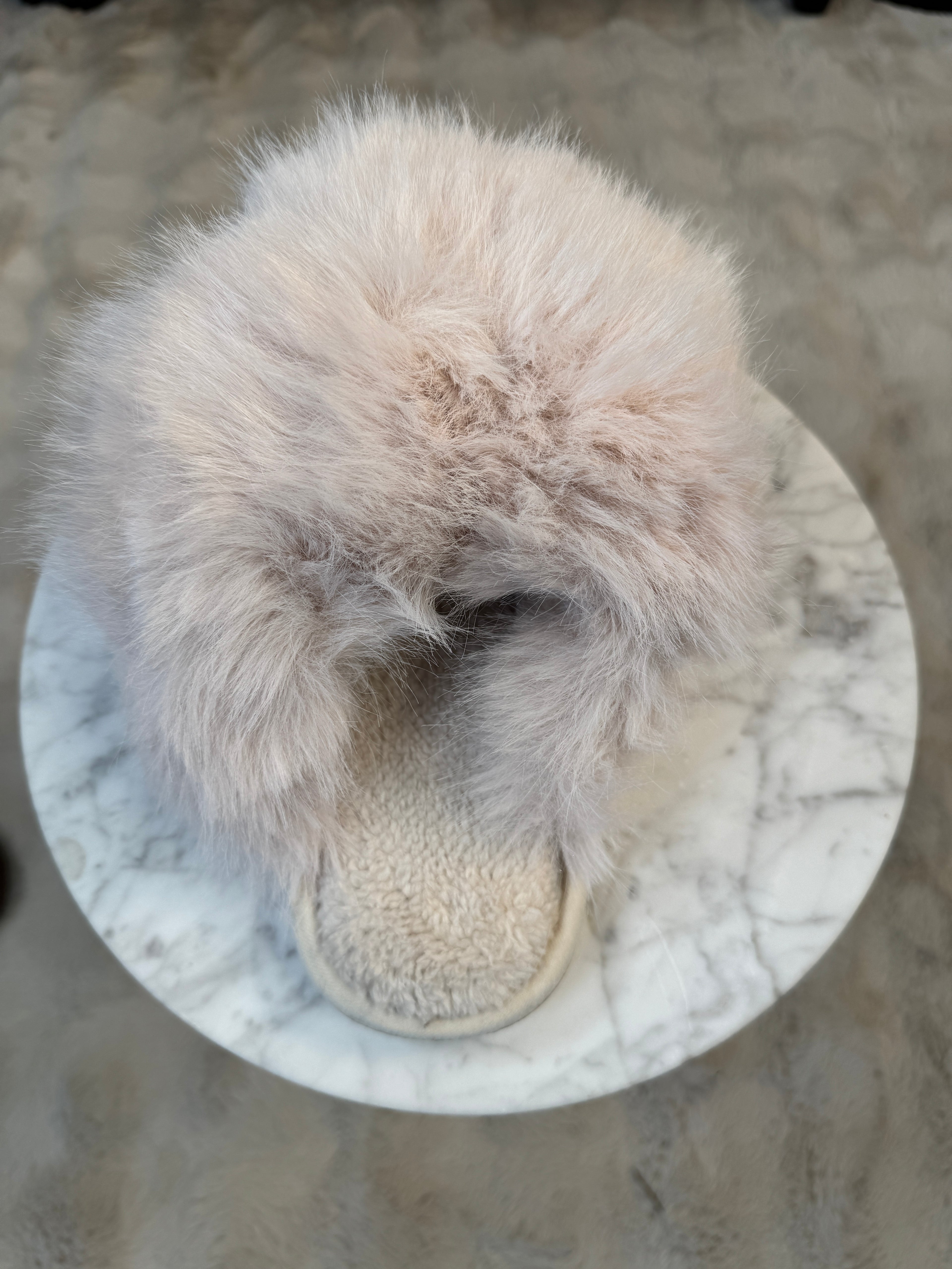 Chausson Polux Beige