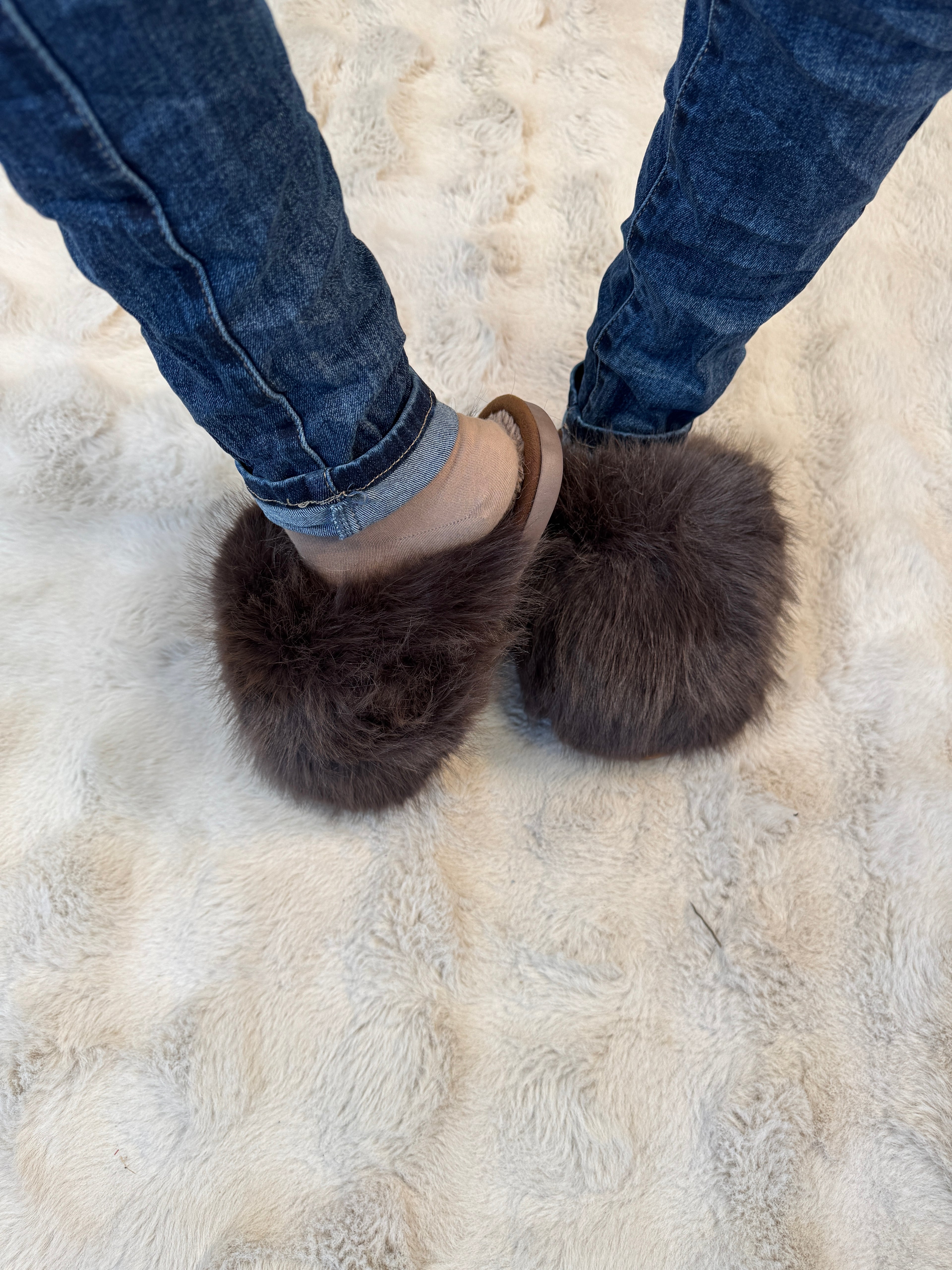 Chausson Polux Choco