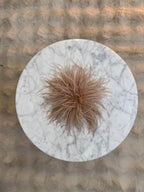 Broche Plumes Beige