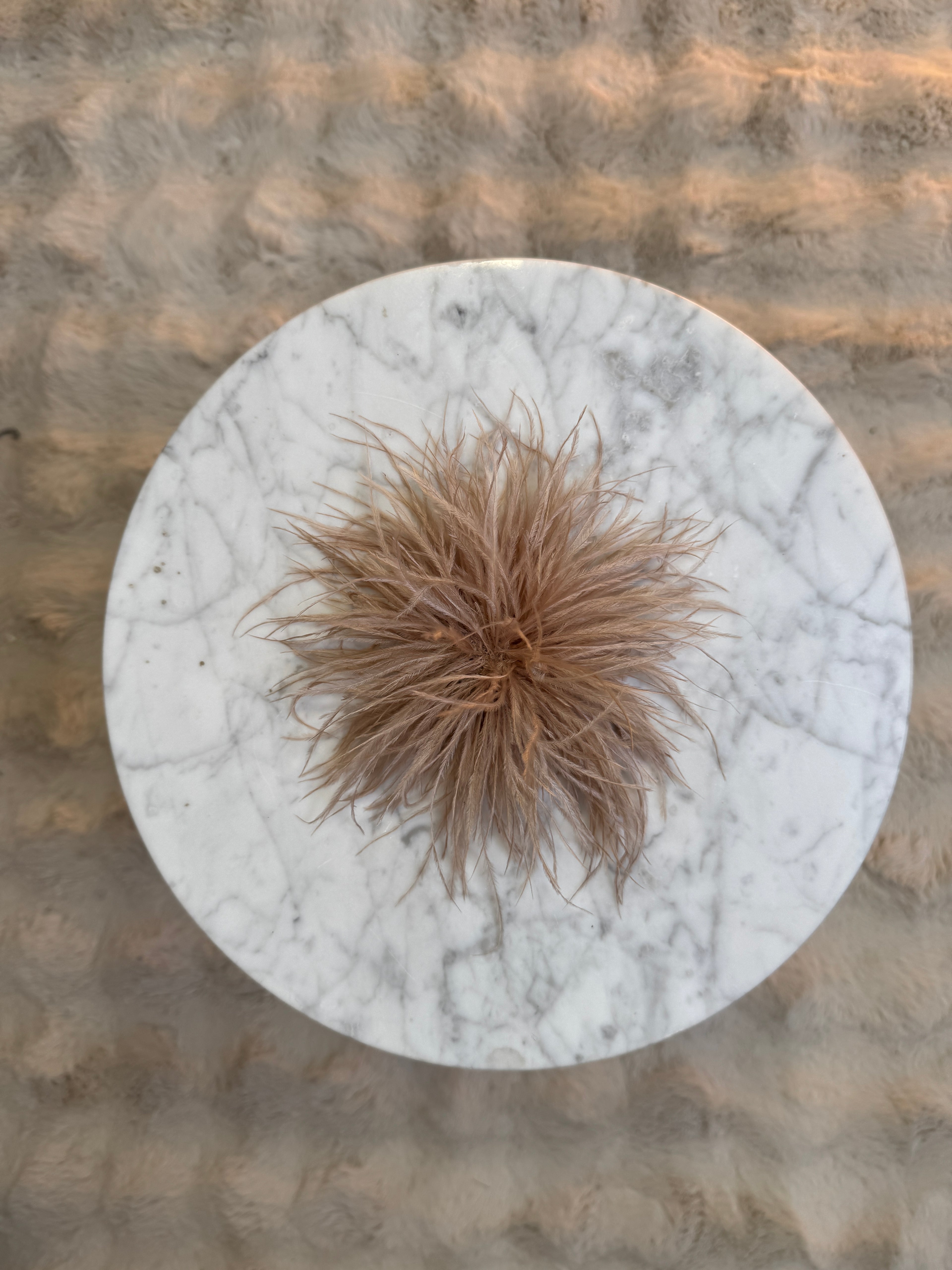 Broche Plumes Beige